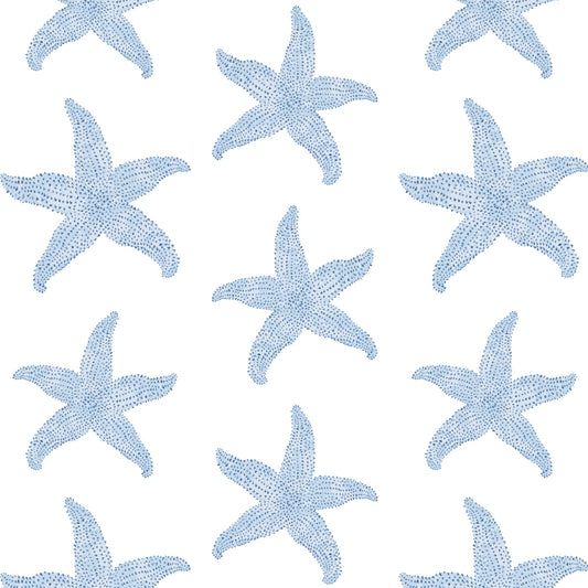 sconset starfish
