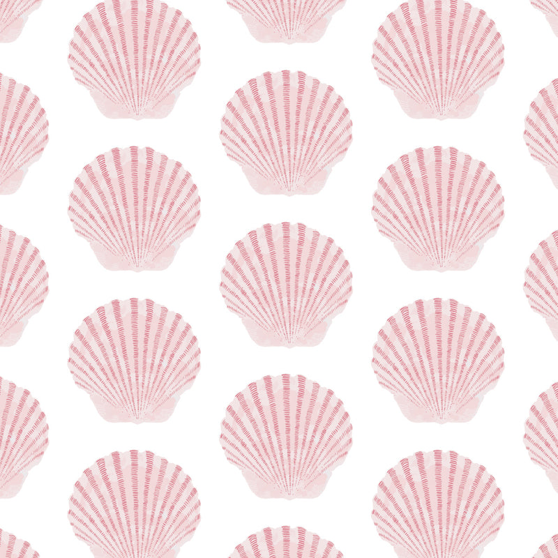 Barnstable bay scallop pattern with whimsical ruffled scallop shell print 