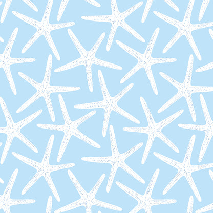 pemaquid pencil stars