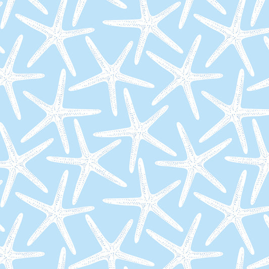 pemaquid pencil stars