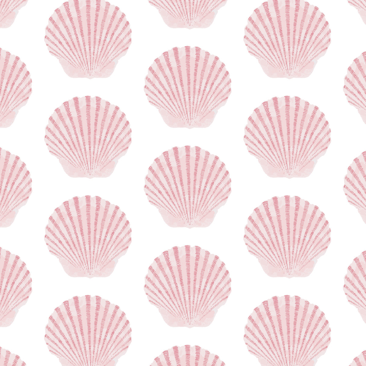 barnstable bay scallop