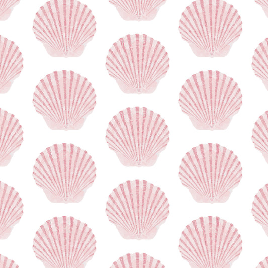 barnstable bay scallop