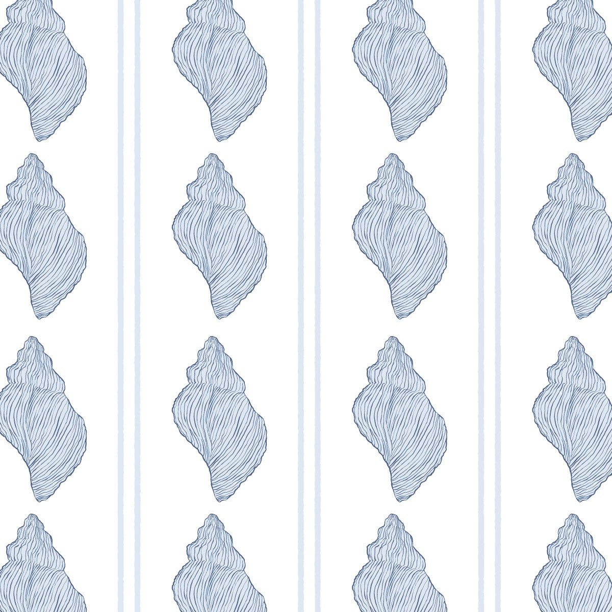 tarpon bay tulip shells