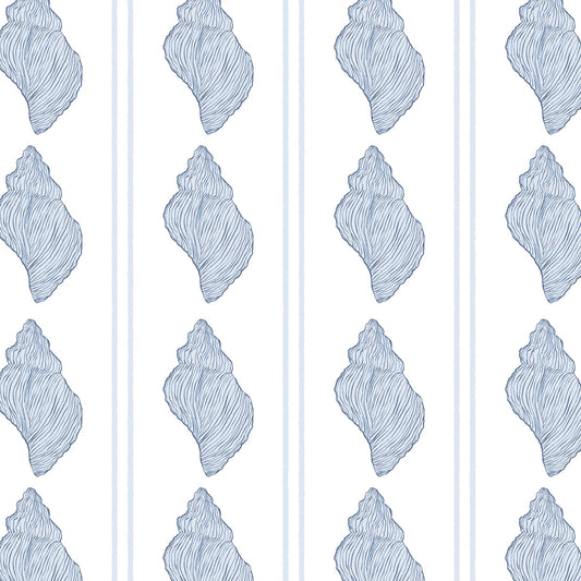 tarpon bay tulip shells